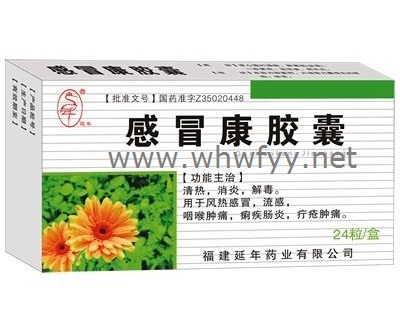 感冒康膠囊
