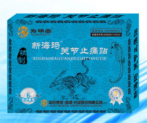 新?，旉P(guān)節(jié)止痛貼--貼劑