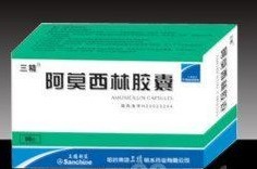 阿莫西林 膠囊