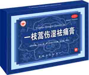 一枝蒿傷濕祛痛膏