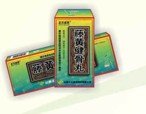 藤黃健骨丸