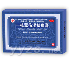 一枝蒿傷濕祛痛膏