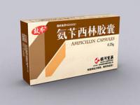 氨芐西林膠囊