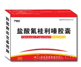 鹽酸氟桂利嗪膠囊