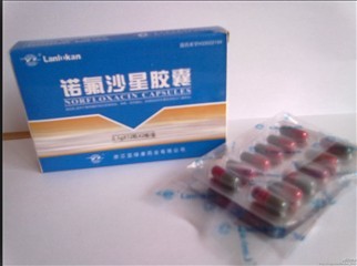 諾氟沙星膠囊