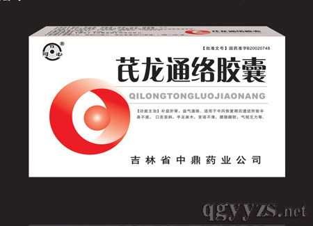 芪龍通絡(luò)膠囊