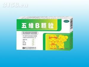 五維B顆粒--2g×10袋/盒