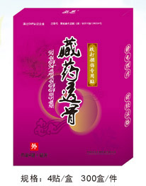 聚能離子消痛貼（跌打損傷專用貼）