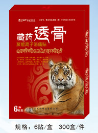 聚能離子消痛貼 （巴布貼）