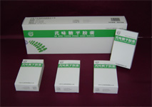 國家專利保護中藥治療糖尿病-芪味糖平膠囊