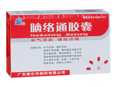 腦絡(luò)通膠囊