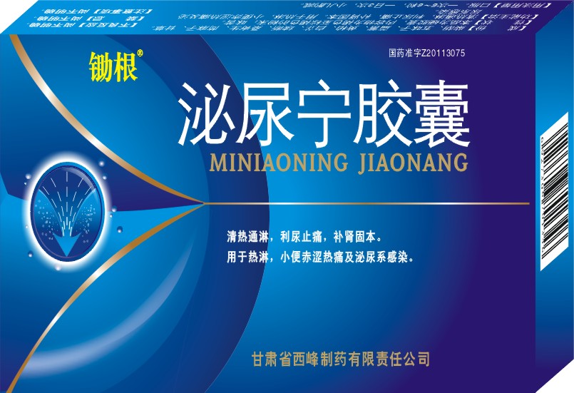 鋤根泌尿?qū)幠z囊