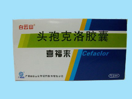 頭孢克洛膠囊