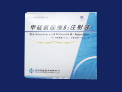 甲硫氨酸維B1注射液 （商品名：趨立泰）