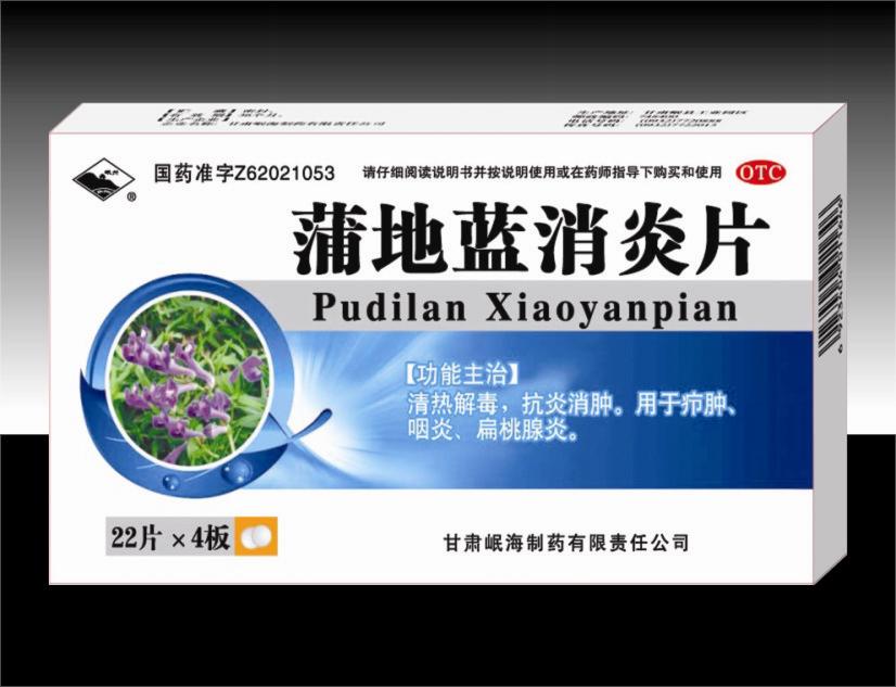 蒲地藍(lán)消炎片22片