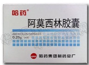 阿莫西林膠囊 20粒  50粒