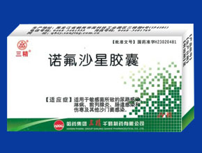 諾氟沙星膠囊24粒