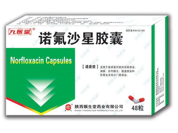 諾氟沙星膠囊