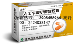 人工牛黃甲硝唑膠囊