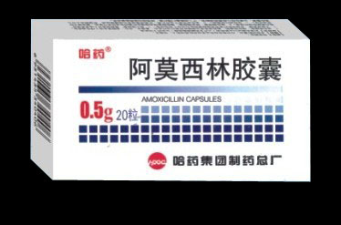 哈藥@阿莫西林膠囊