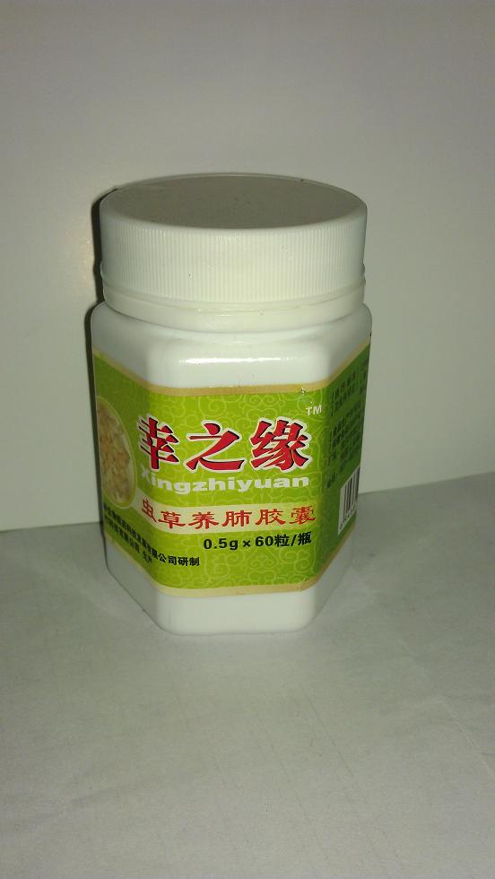 蟲草養(yǎng)肺膠囊