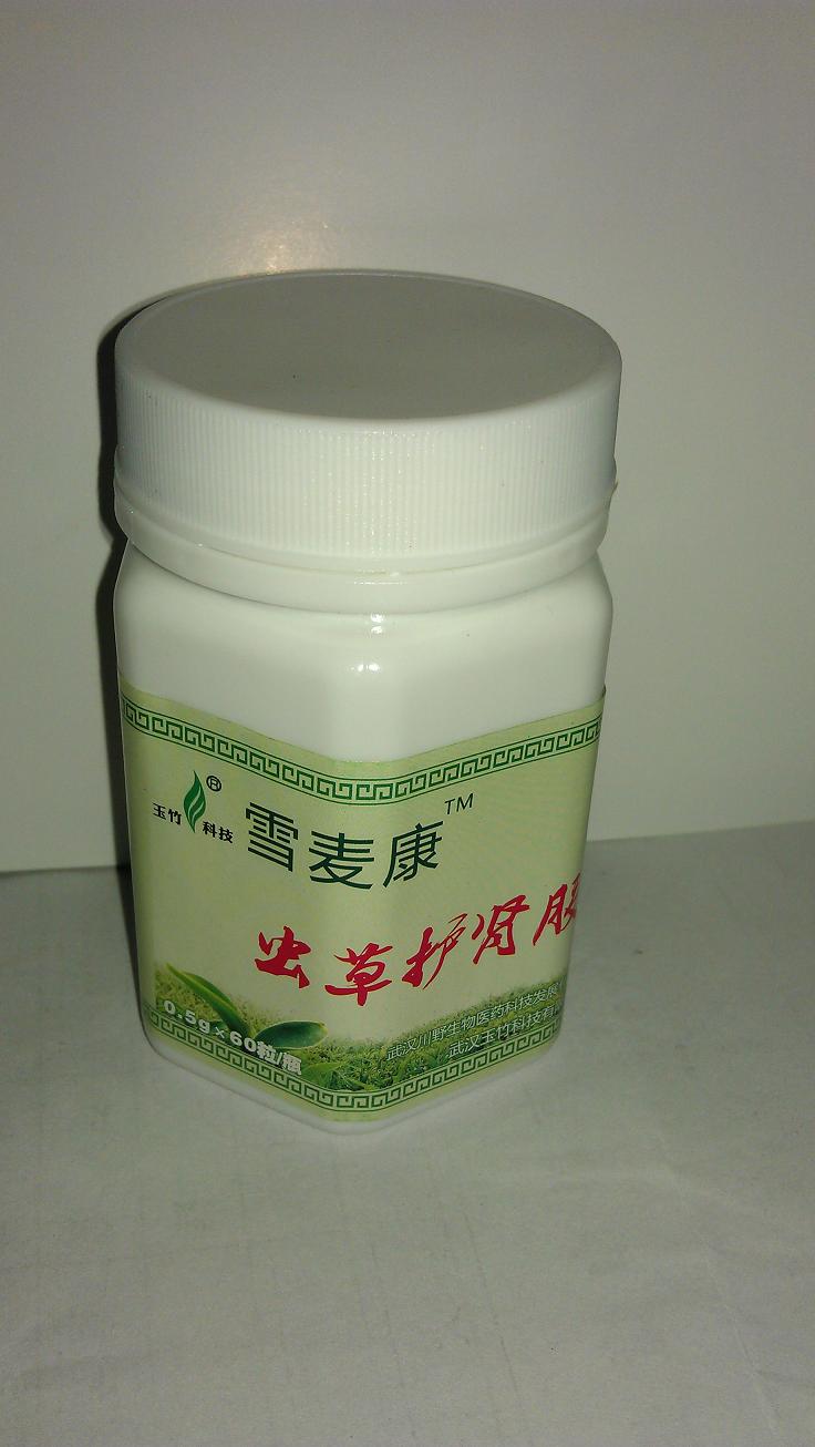 蟲草護(hù)腎膠囊