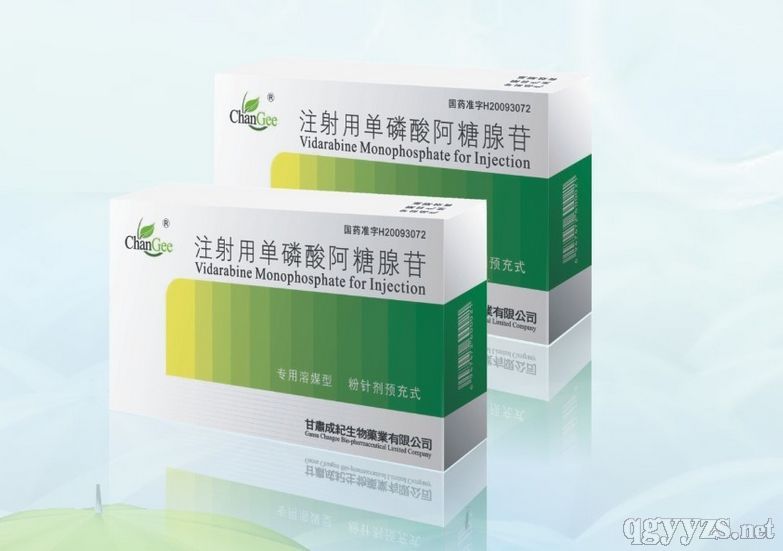 注射用單磷酸阿糖腺苷1