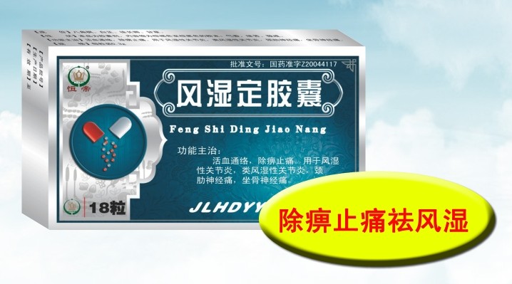風(fēng)濕定膠囊