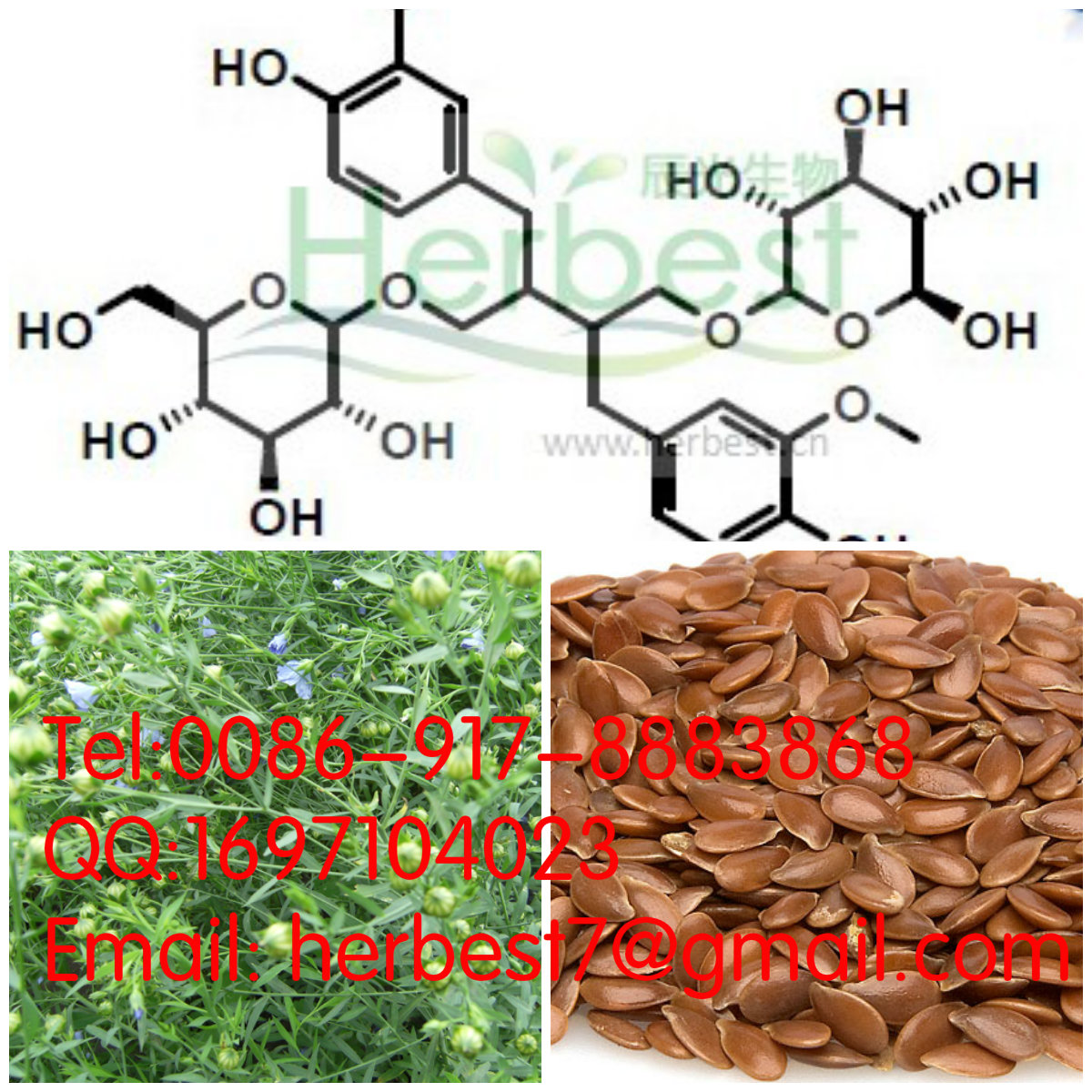亞麻木酚素(SDG)Secoisolar148244-82-0