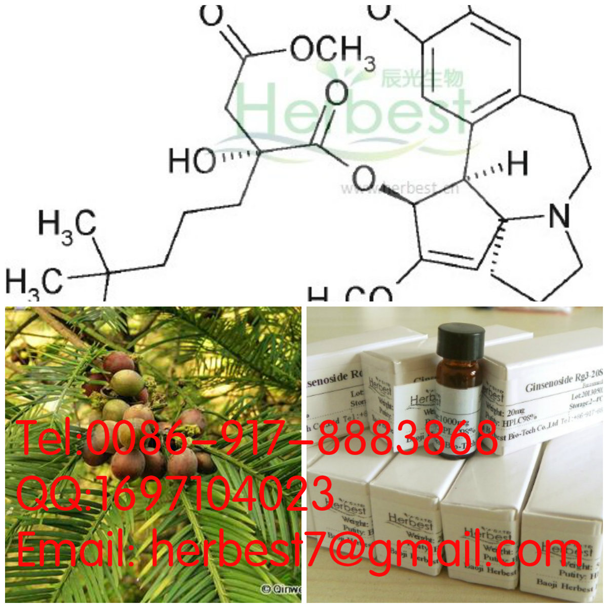 高三尖杉酯堿Hmoharringtonine26833-87-4