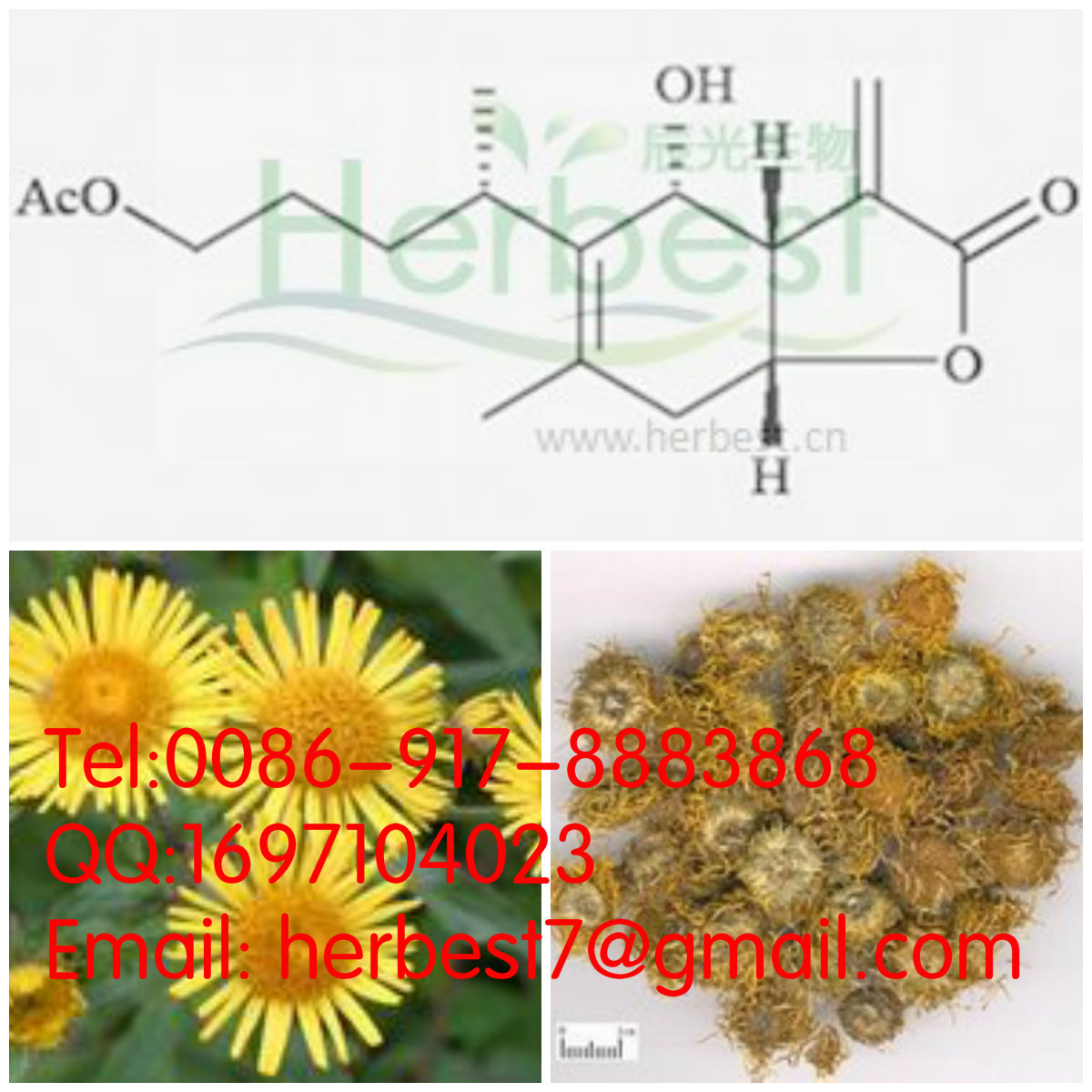 1-氧-乙酰旋覆花內(nèi)酯1-O-acety681457-46-5