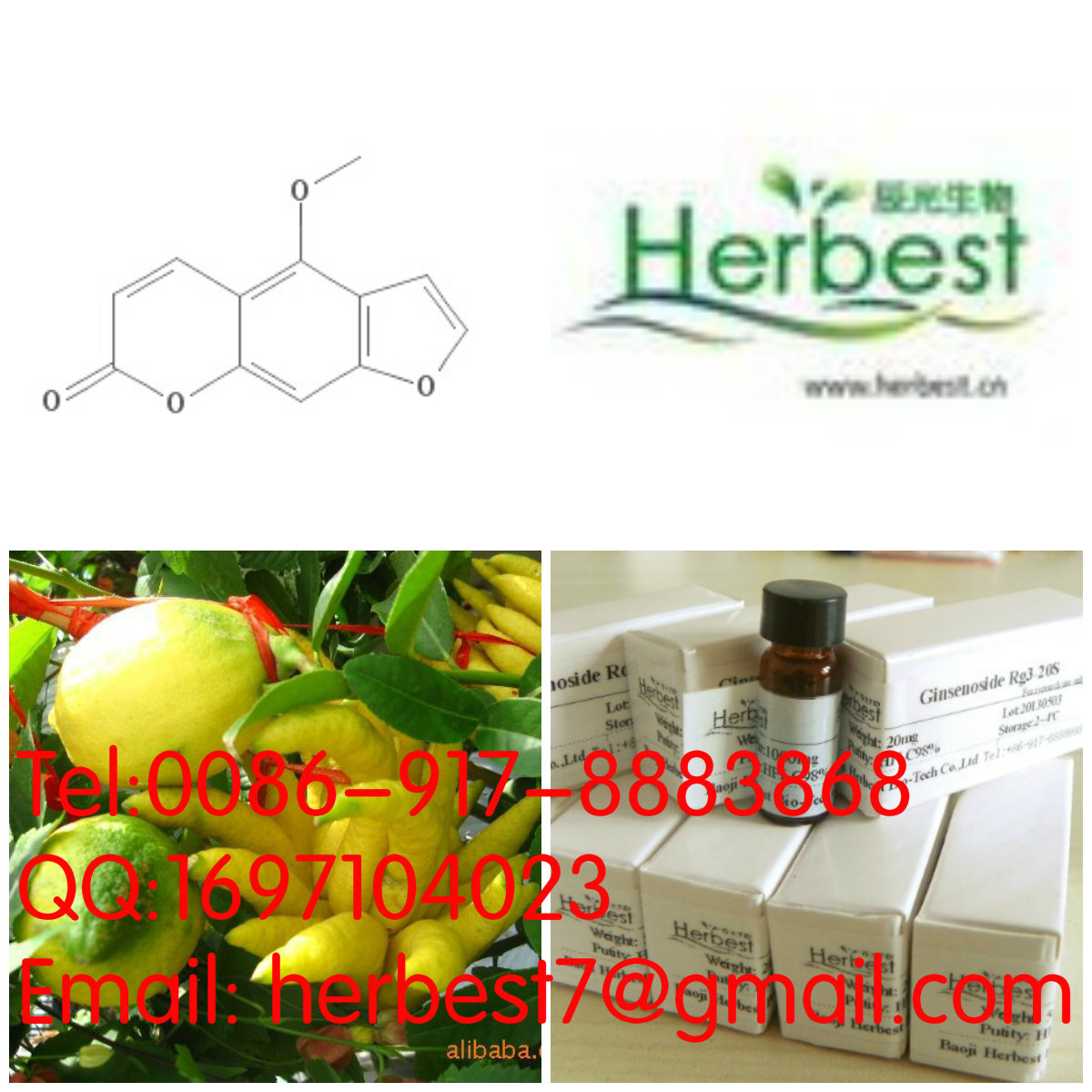 佛手苷內(nèi)酯Bergapten484-20-8