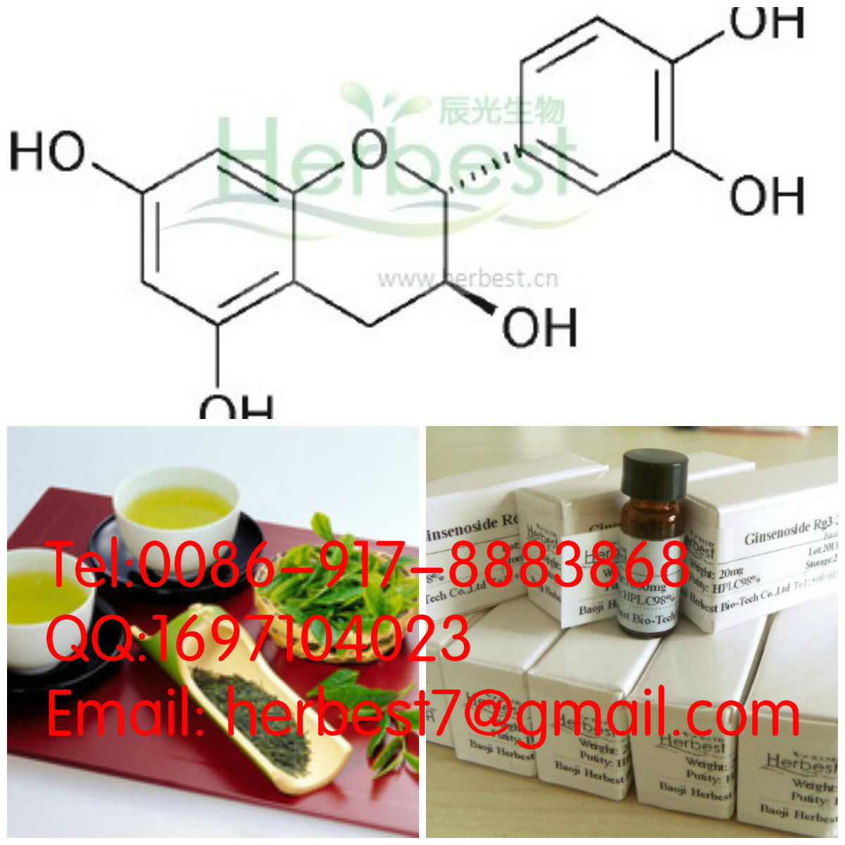 兒茶素 Catechin（C）154-23-4