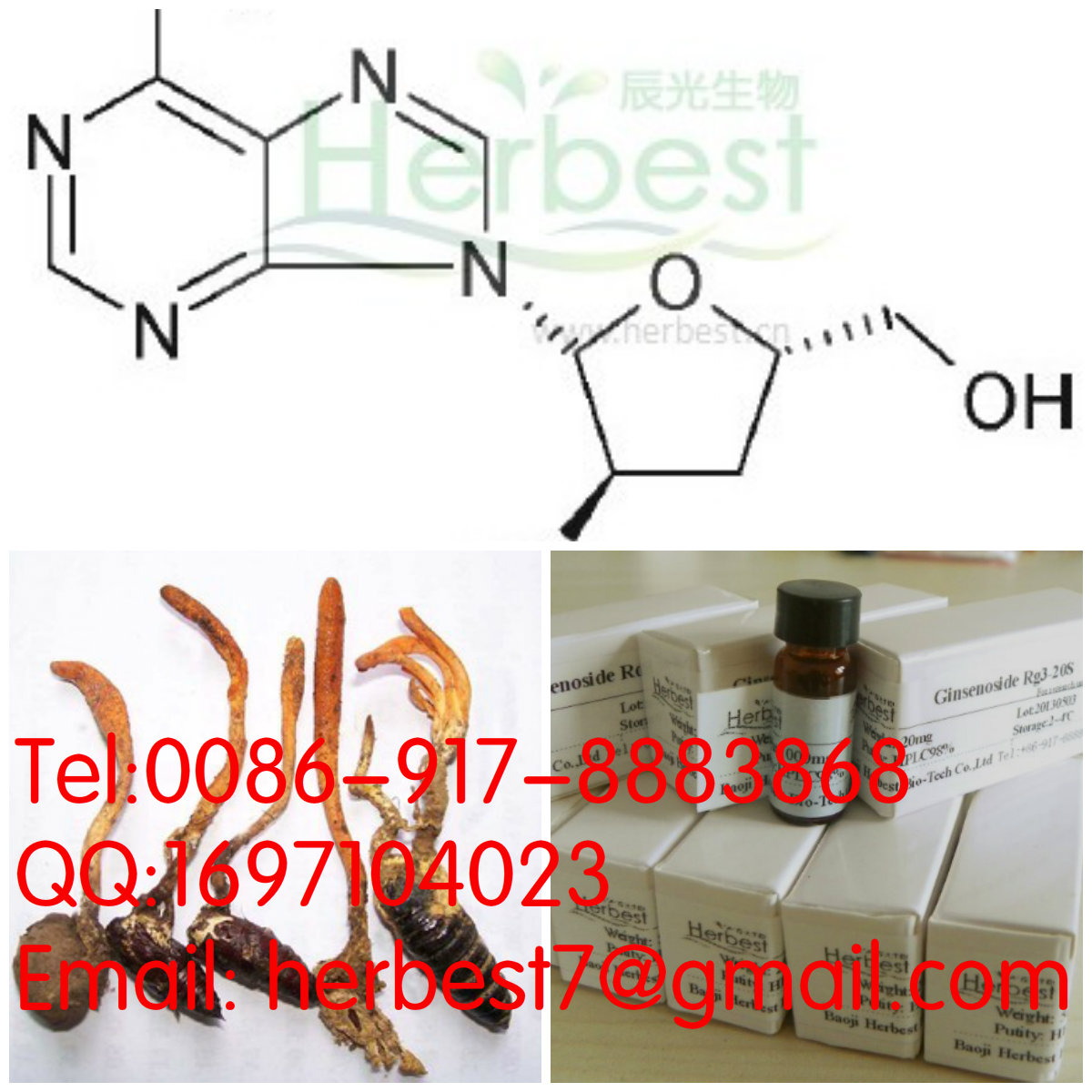 蟲草素Cordycepin73-03-0