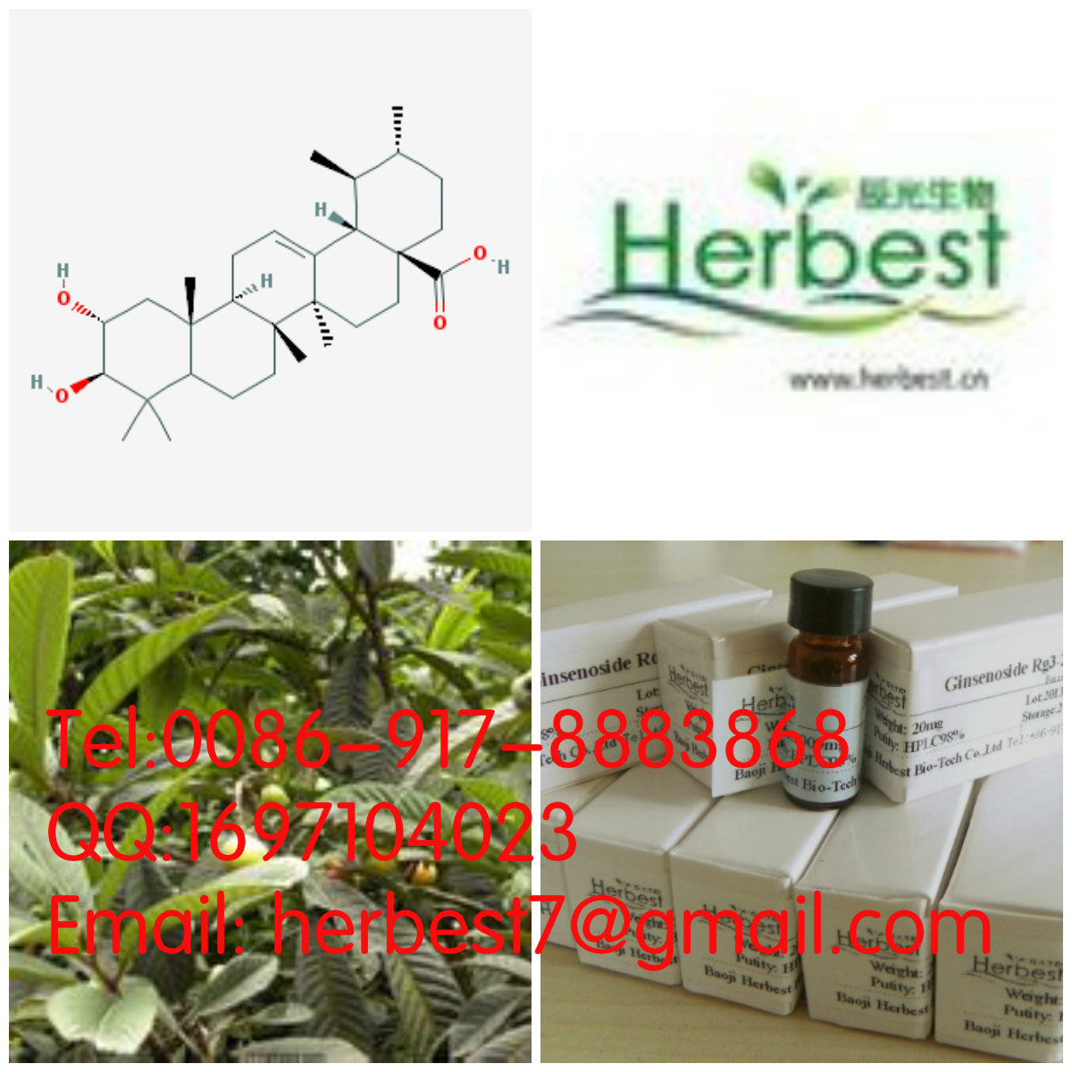 科羅索酸Corosolic acid4547-24-4