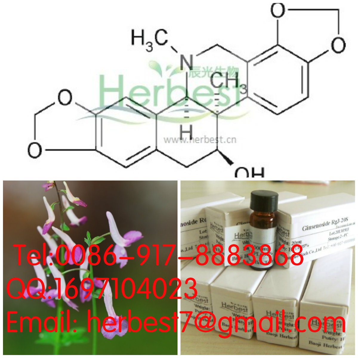 紫堇靈(+)-corynoline18797-79-0