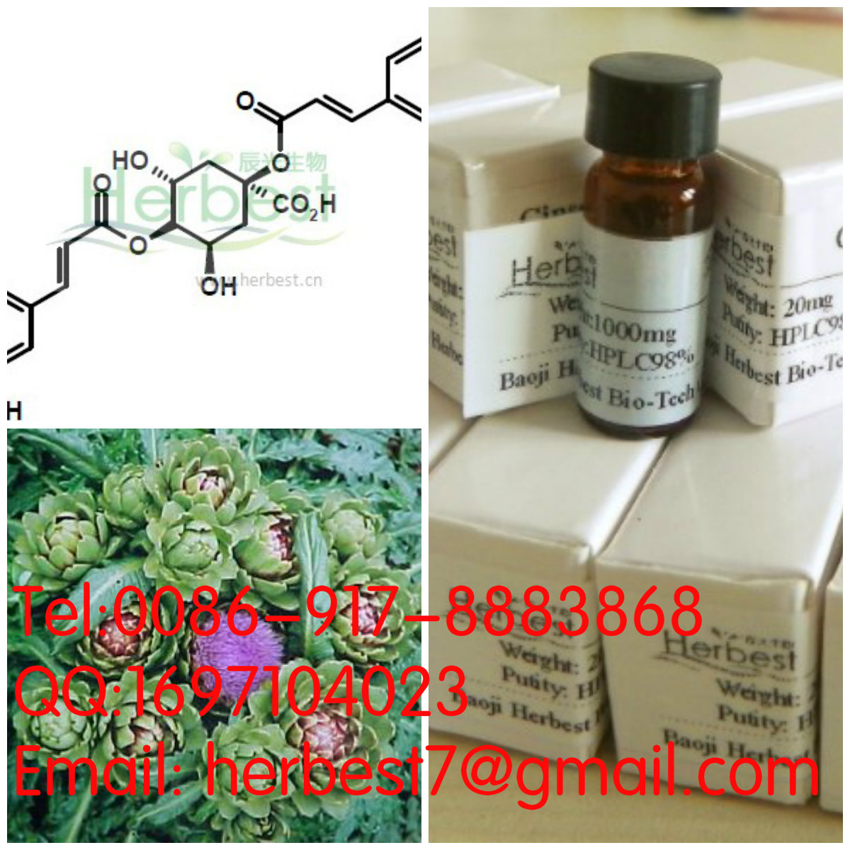 洋薊素Cynarin 1182-34-9