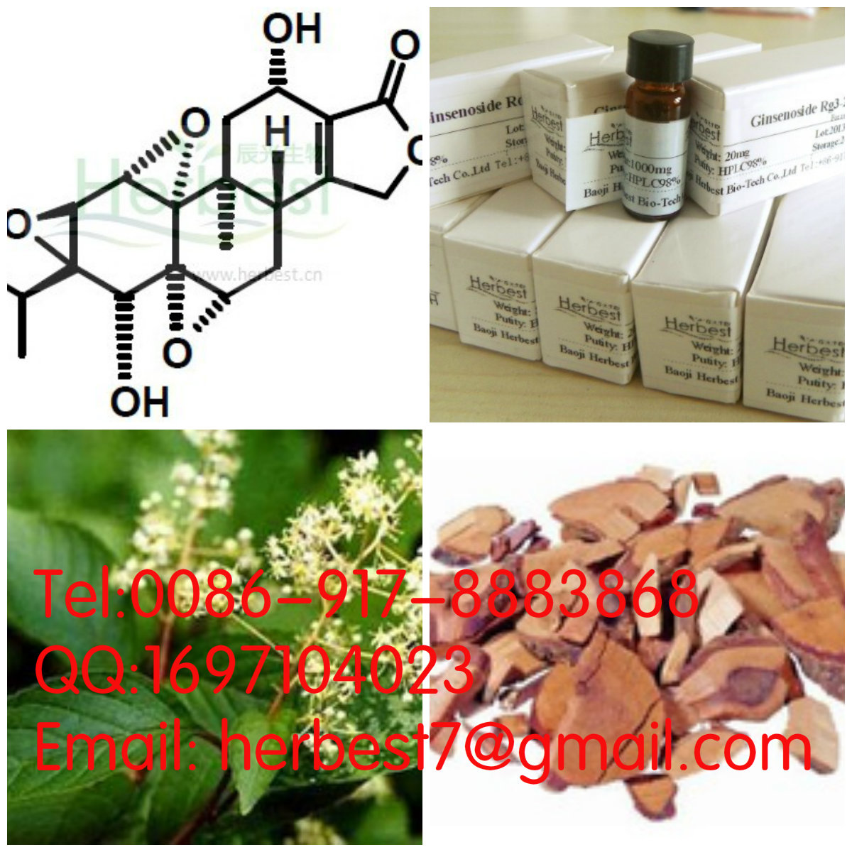 雷公藤乙素Tripdiolide38647-10-8