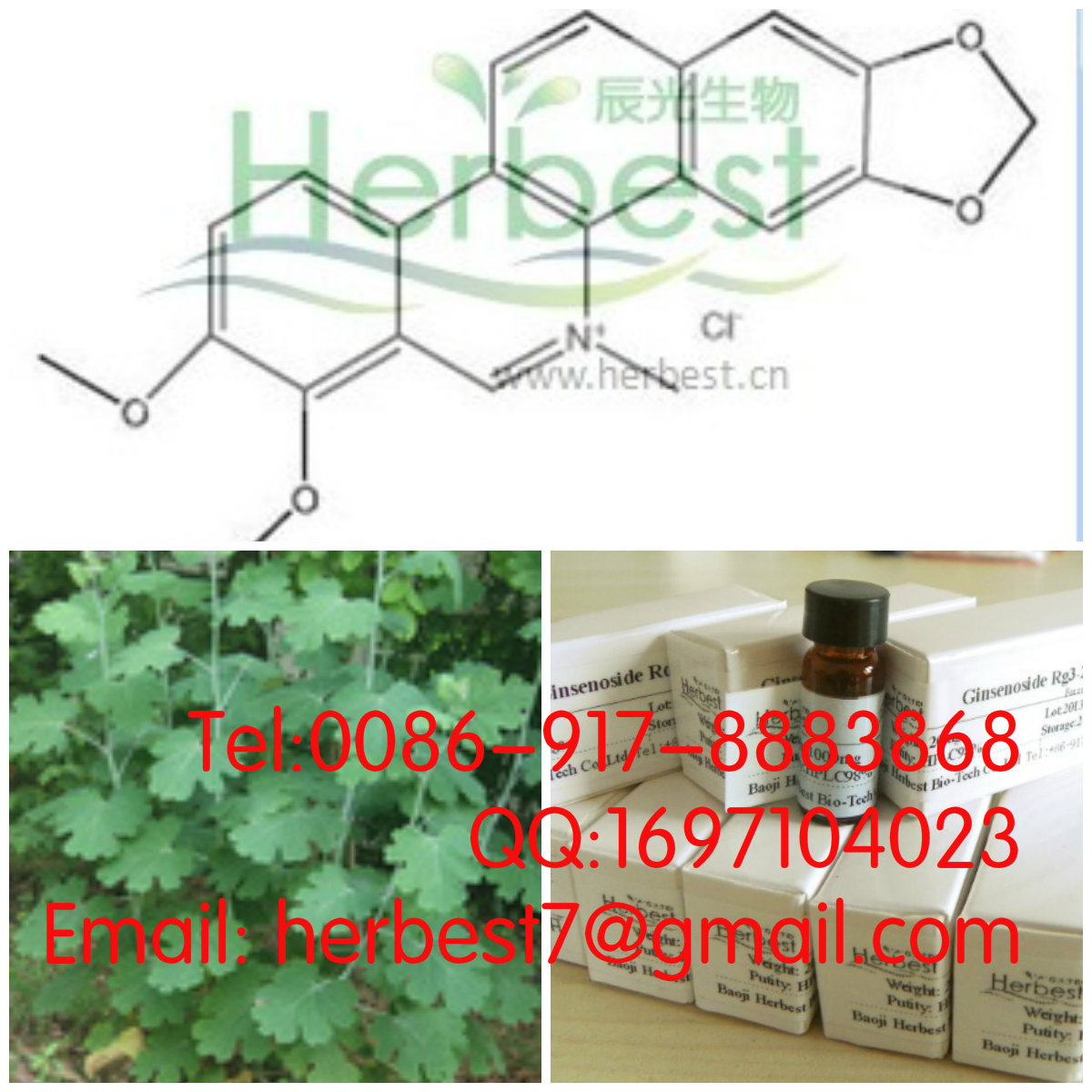 白屈菜紅堿Chelerythrine c34316-15-9