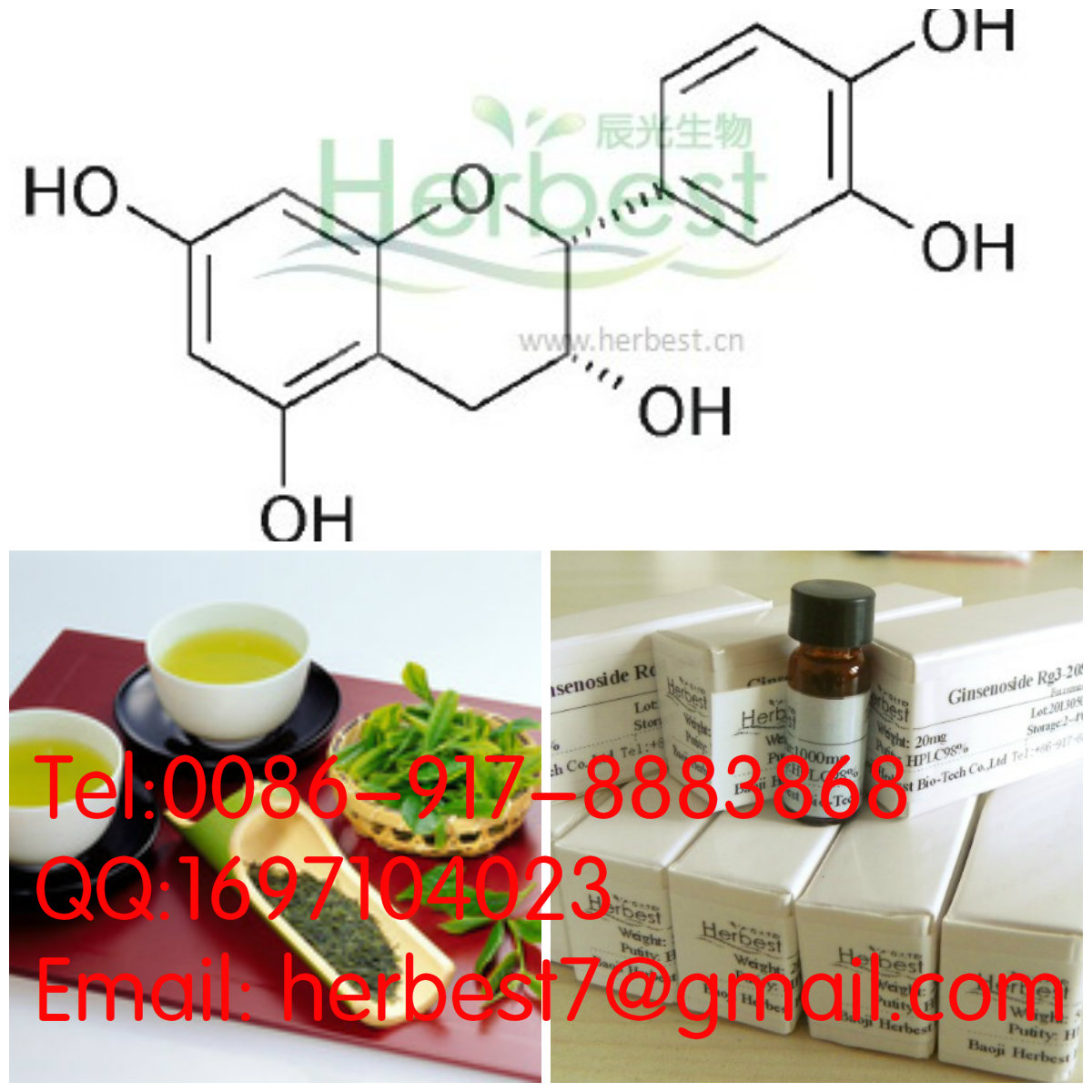 表兒茶素Epicatechin490-46-0