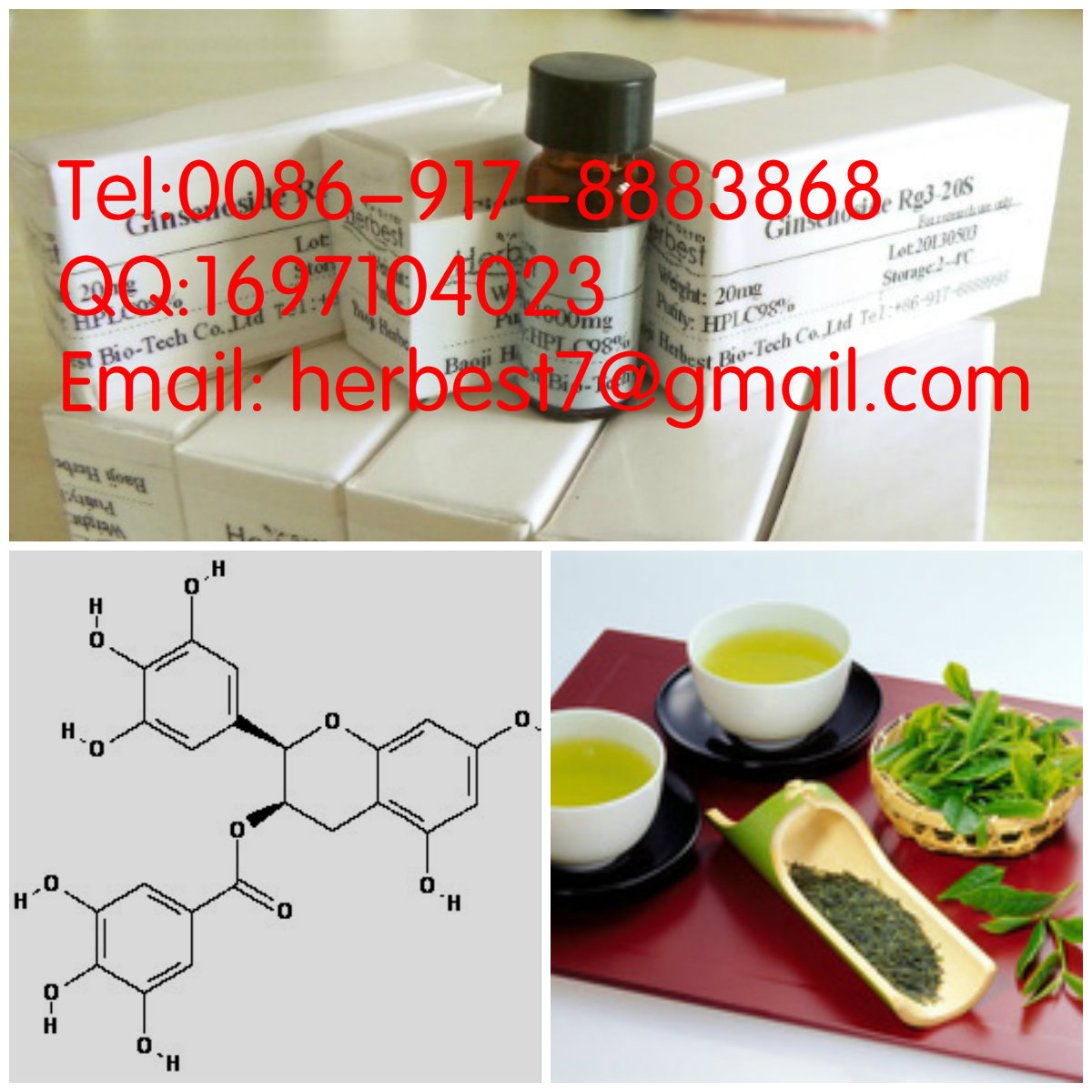 表兒茶素沒食子酸酯ECGEpicatechin gallate1257-08-5