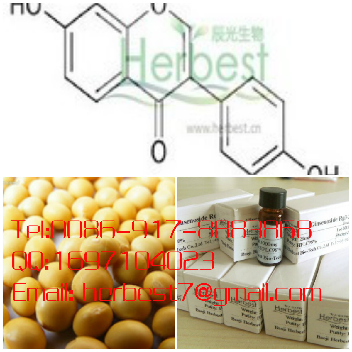 大豆苷元Daidzein486-66-8