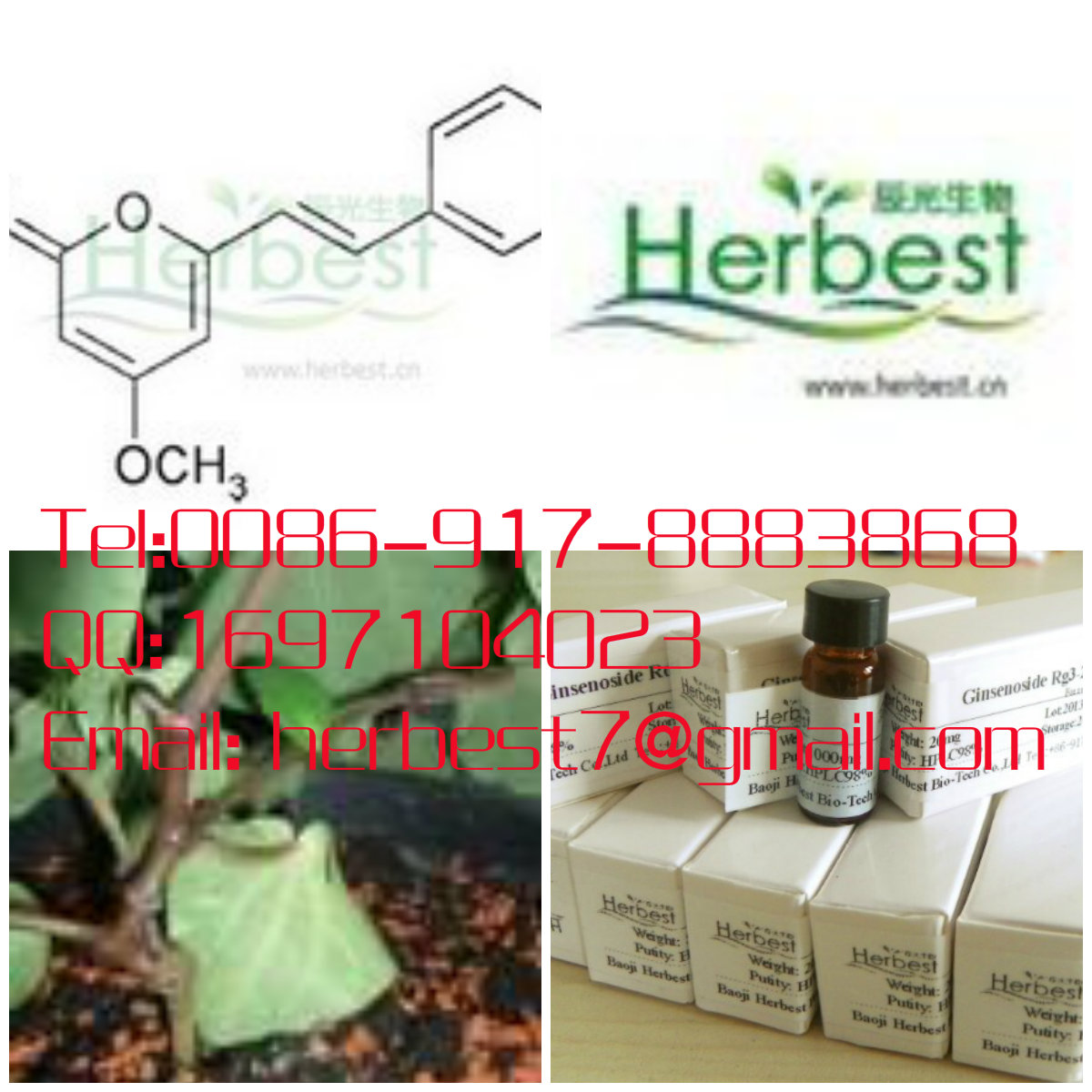 去甲氧基醉椒素Demethoxyyang15345-89-8