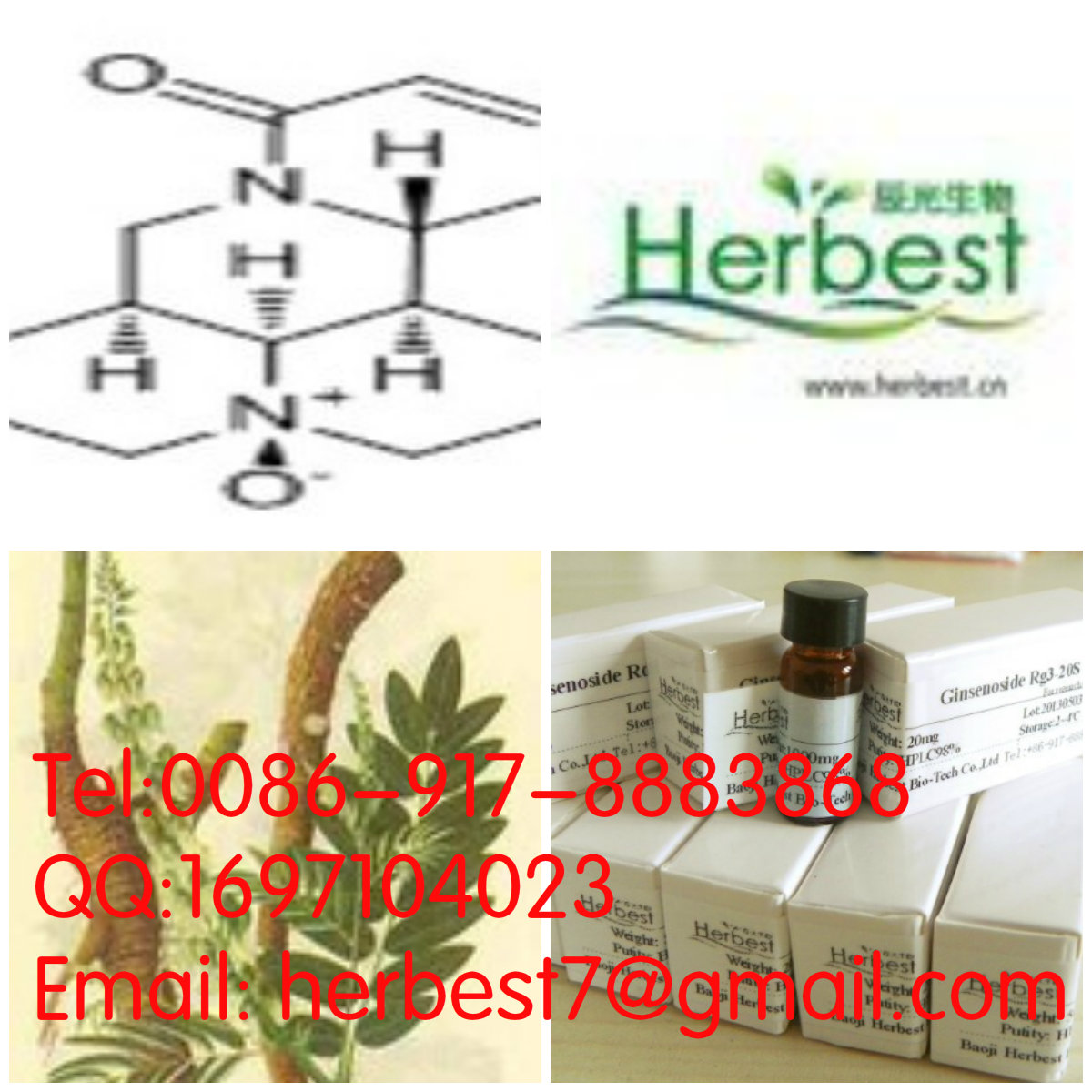 氧化槐果堿 Oxysophocarpin26904-63-3