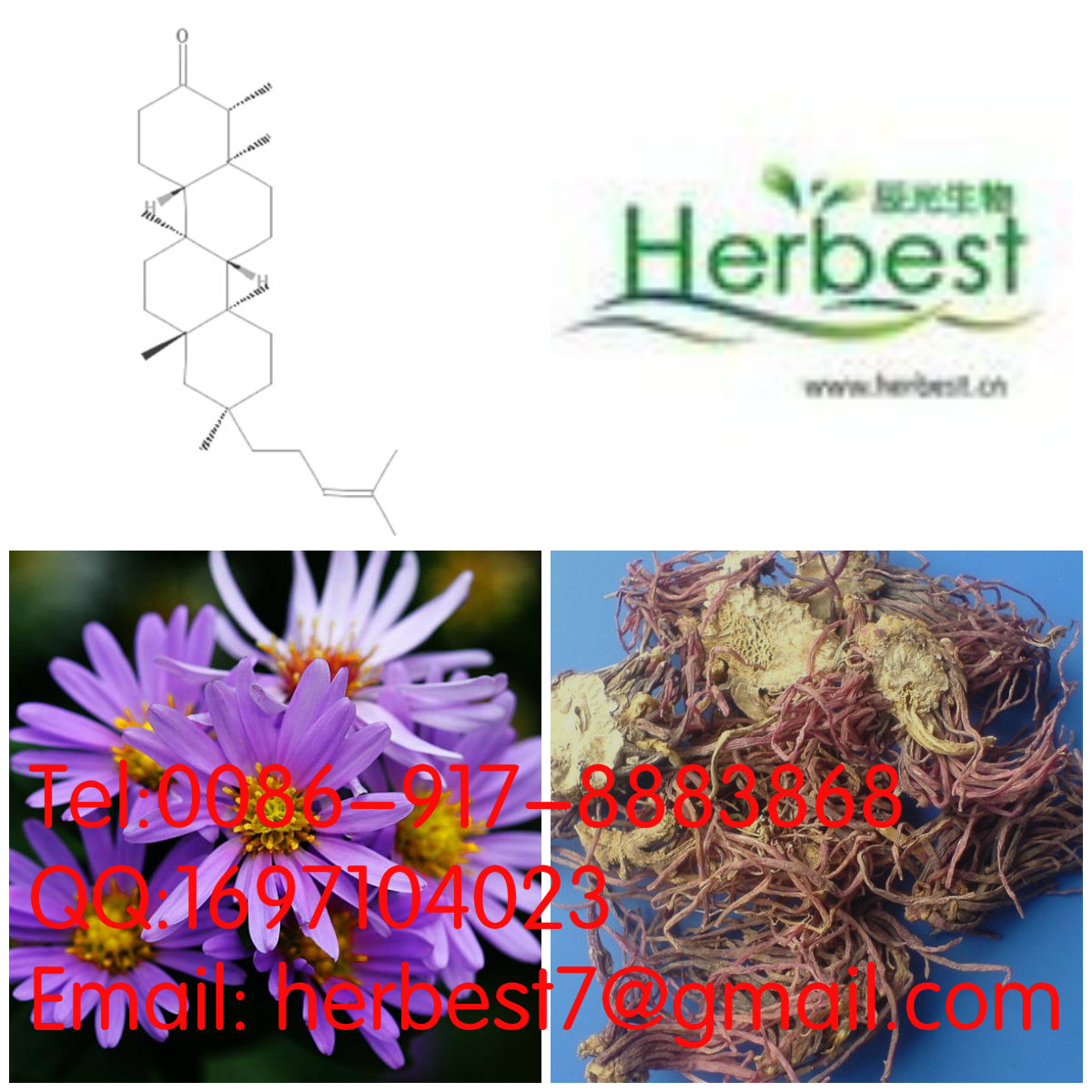 紫苑酮 Shionone10376-48-4