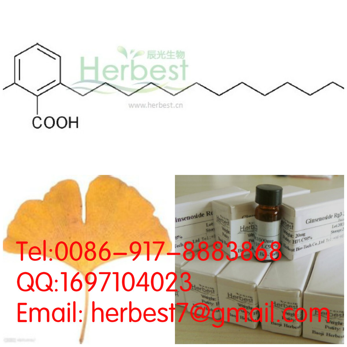 銀杏酸C17:1 Ginkgolic A111047-30-4