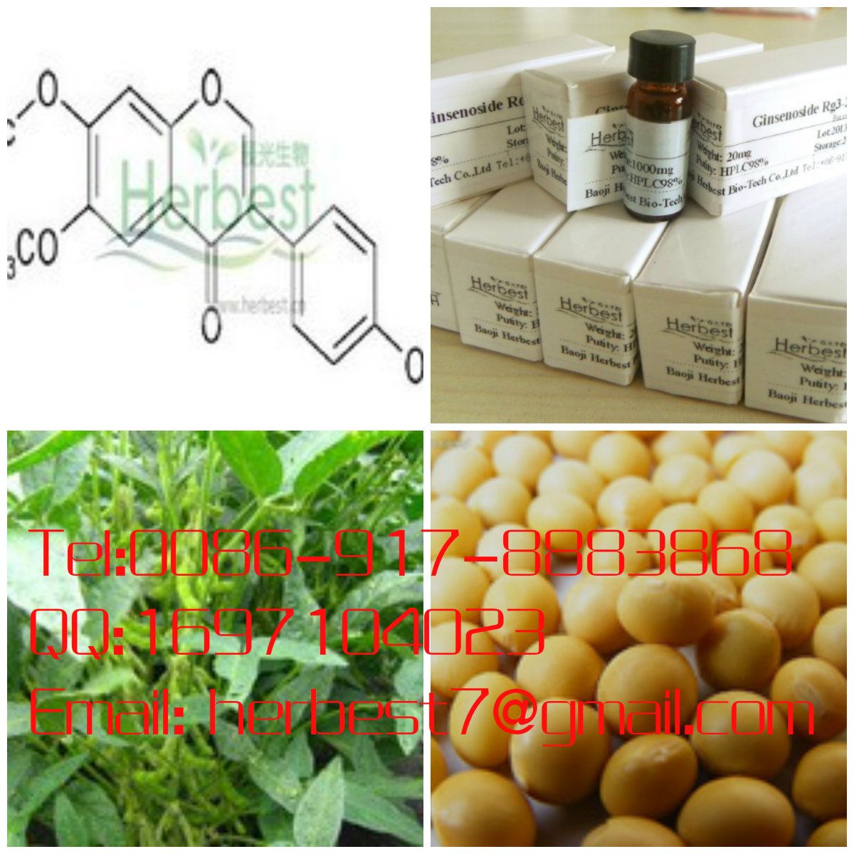 黃豆黃苷Glycitin40246-10-4