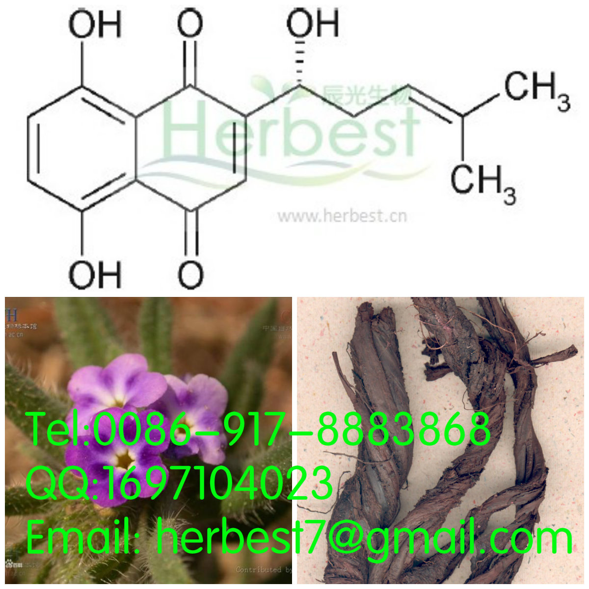 紫草素Shikonin 517-89-5