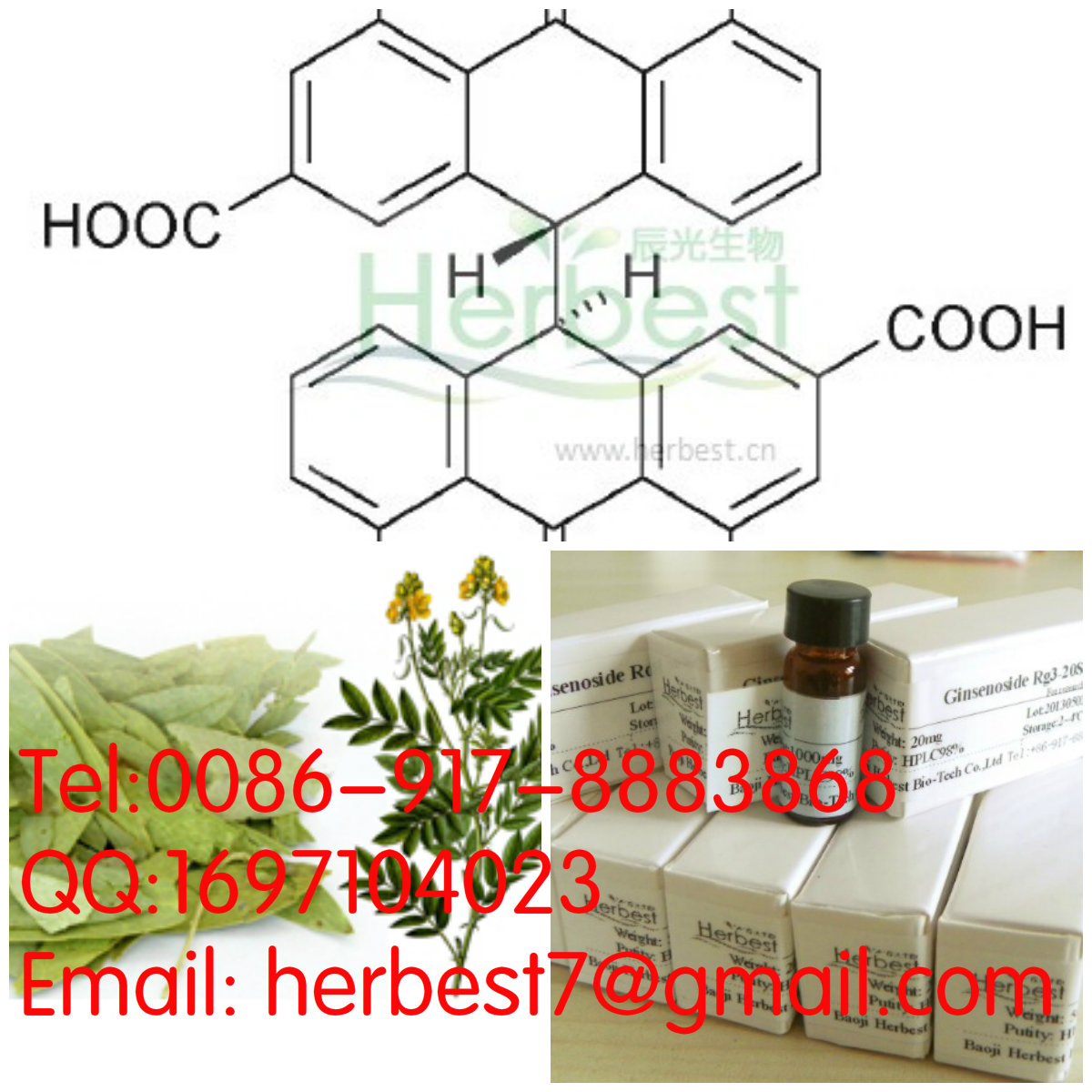 番瀉苷 BSennoside B128-57-4