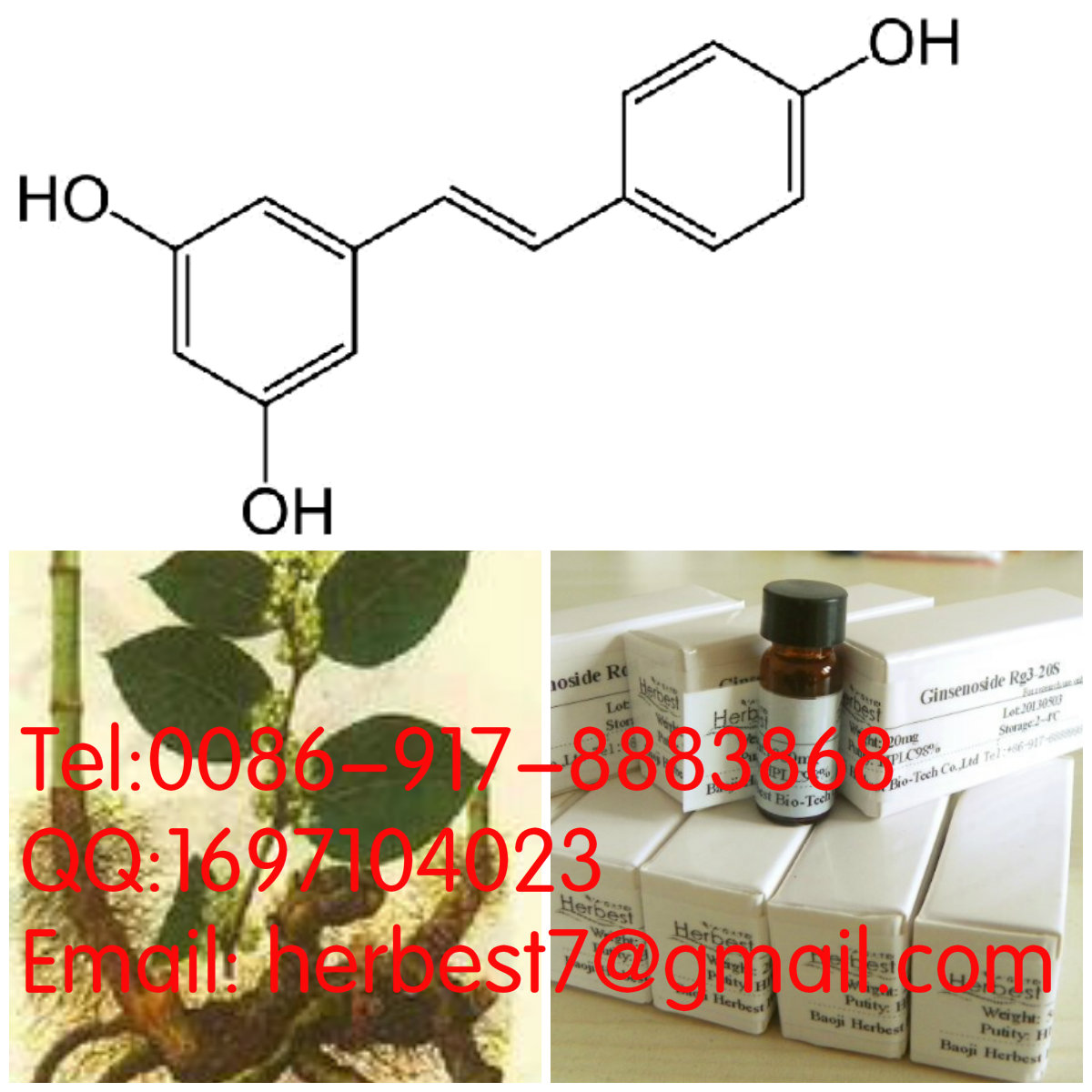 白藜蘆醇 Resveratrol501-36-0